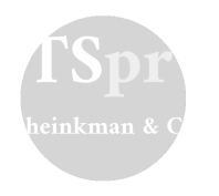 Sheinkman & Co